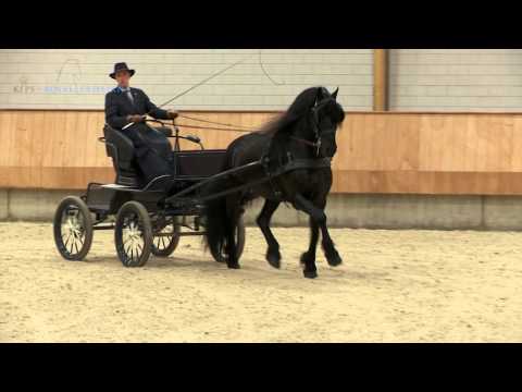 Eise 489 Centraal Onderzoek 2015