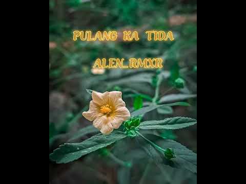 PULANG KA TIDA REMIX-ALEN_RMXR-TERBARU 2023