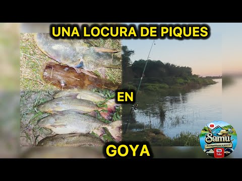 🔥 “PESCA A PURO PIQUE SIN DESCANSO” 🎣  #PescaVariada #Goya #Corrientes #Fishing #RioParana 