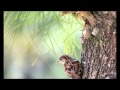 It doesn't matter anyhow   Jose Feliciano HD HD x264