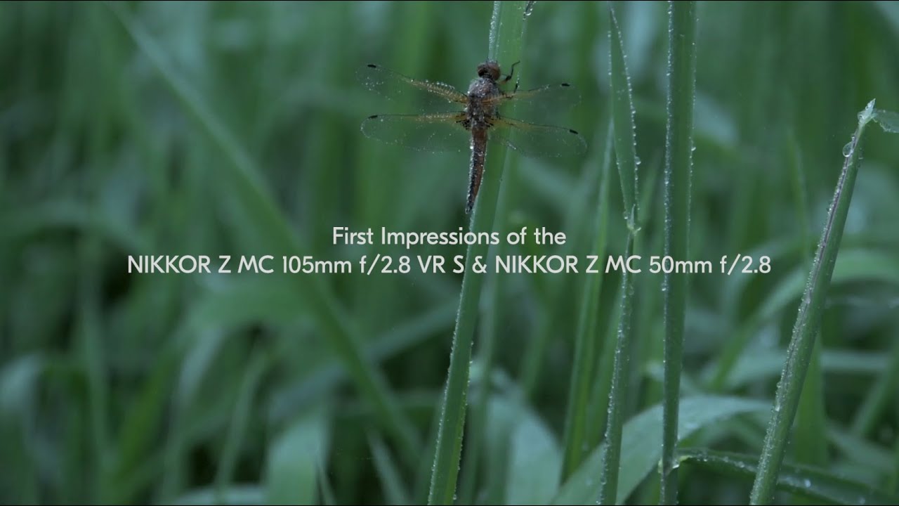 Nikon Nikkor Z MC 105mm f/2.8 S VR  