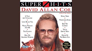 Willie, Waylon And Me