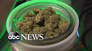 Marijuana legalization on the ballot in 5 states