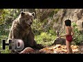 The Jungle Book 2016 Mowgli Use Trick And Break Honey For Baloo Hollywood MovieClips In Hindi