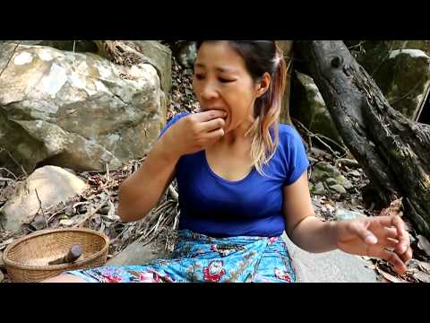 Survival skills: Find iguana  in wild for food – Cooking iguana eating delicious #21 Video