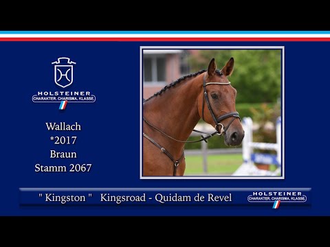 Holsteiner Elite-Reitpferde 2021 | Nr. 126 Kingston