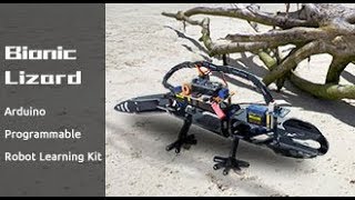 DIY Bionic Robot Lizard
