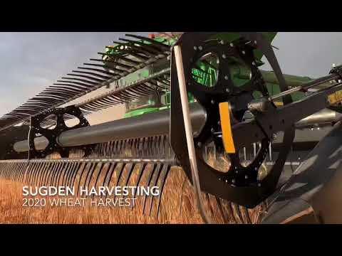 Sugden Harvesting / 2020 Wheat Harvest