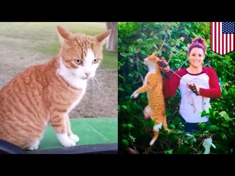 Ćwiczenia ekspandera dla wszystkich mięśni wideo Testosteron analiza kulturystyka