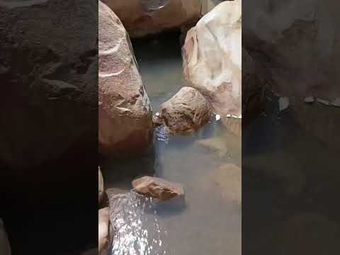 posos #lobatera #táchira #viral #venezuelalibre #moto #aventura