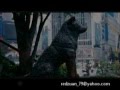 Metallica Nothing Else Matters Hachiko Video Clip