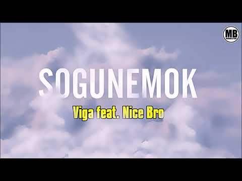 Viga feat.  Nice Bro - Sogunemok [MB PRO 2020] AUDIO