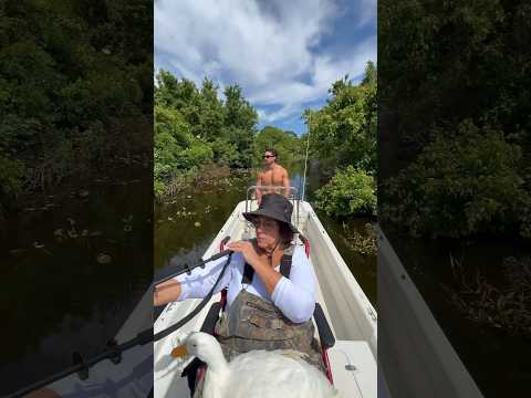 IGUANA ATTACKED MY DUCK 🎯