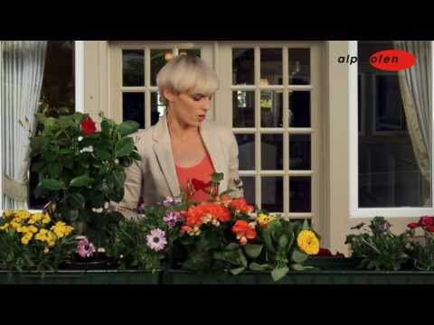 Stéphanie Berger: "Der Mensch braucht Wärme!"