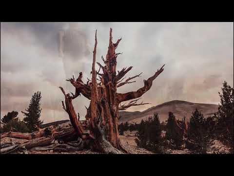 Inception Of Eternity - Father (Acoustic)