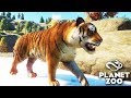 Planet Zoo O Tigre Das Neves tigre Siberiano