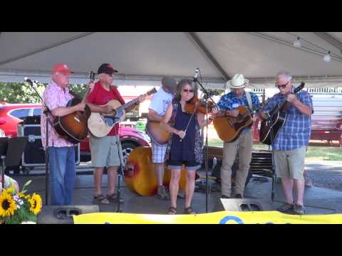 2017-08-05 Sr1 Senior Division - Willamette Valley Fiddle Contest 2017