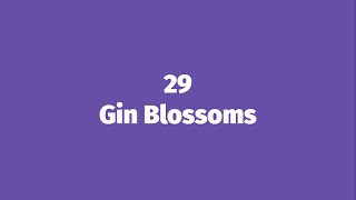 29 - Gin Blossoms (HD Lyric Video)