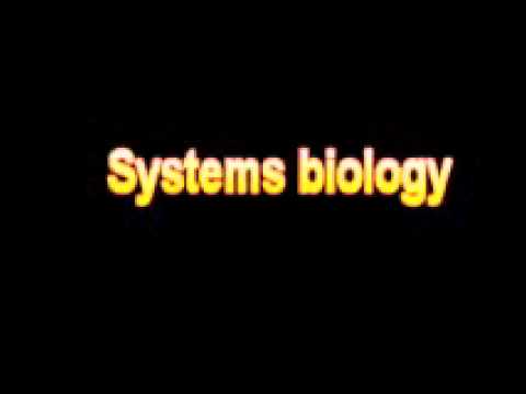 What Is The Definition Of Systems biology Medical School Terminology Dictionary