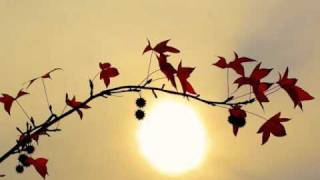 Download lagu سورة القلم - يوسف كالو \ Surat Al-Qalam - Yousef Kalo mp3 Download lagu سورة القلم - يوسف كالو \ Surat Al-Qalam - Yousef Kalo mp3