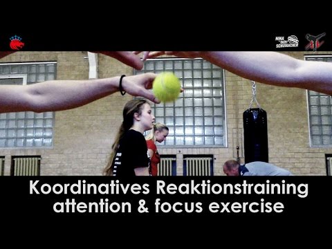 Boxing Training | attention & focus exercise | Koordinatives Reaktionstraining