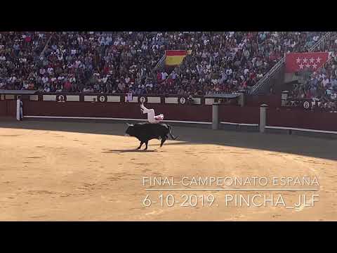 Final Campeonato de España de Recortadores 2019