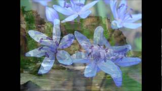 KEANE - He Used To Be A Lovely Boy - G.M.