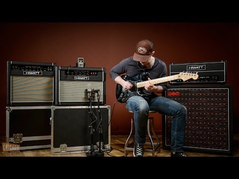 Hiwatt Custom 20-210 | 2x10" 20W Combo. New with Full Warranty! image 2