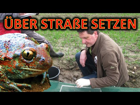 Akupunkturpunkte für das Kniegelenk Steife Gelenke in den Knien am Morgen