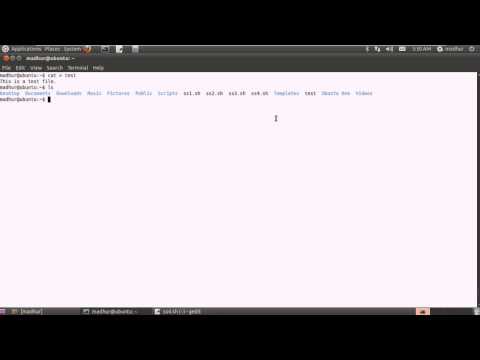 Shell Scripting Tutorial 19  Positional Parameters