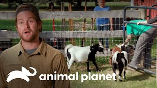 Thumbnail del capítulo