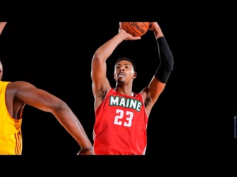 Jordan Mickey NBA D-League Player of the Month Highlights (Dec. 2015)