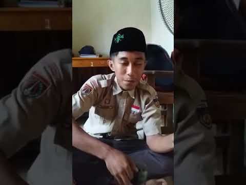 Krim asam dan kacang untuk resep potensi Penjualan patogen kuda Moskow