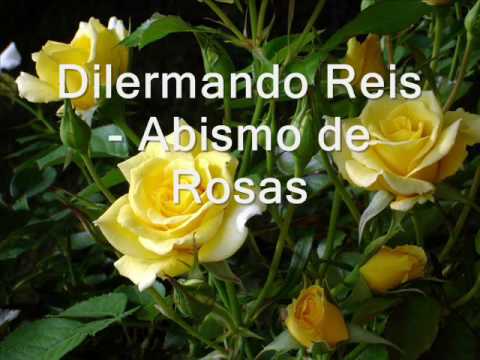 Terno Luar - Dilermando Reis