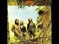 America   Green Monkey HQ with Lyrics in Description - Southern Rocker America   Green Monkey HQ with Lyrics in Description
