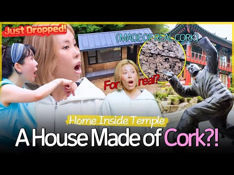 ＂Wine corks… for a house?!＂ Ha Ji-won Surprises Gabee with a One-of-a-Kind Cork House🏠
