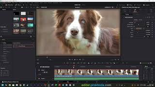 How To Add BORDERS To VIDEO In Davinci Resolve 2025