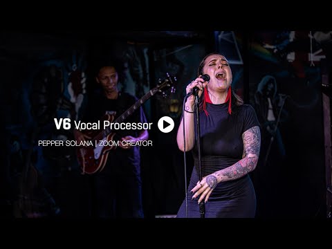 Демонстрация использования процессора Zoom V6-SP