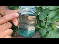 I bought an 1800’s mason jar for 1 dollar