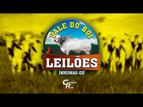 LEILAO  VIRTUAL E PRESENCIAL VALE DO BOI LEILOES - INHUMAS GO - 23/04/2023