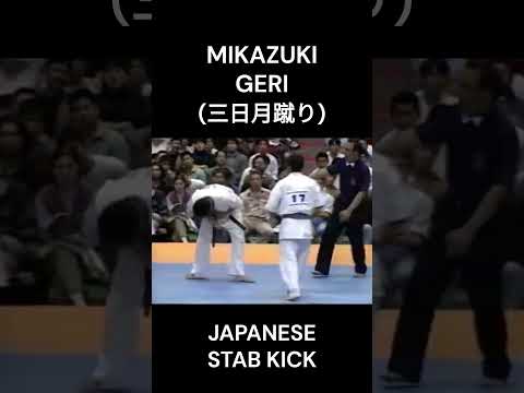 Mikazuki Geri (三日月蹴り)