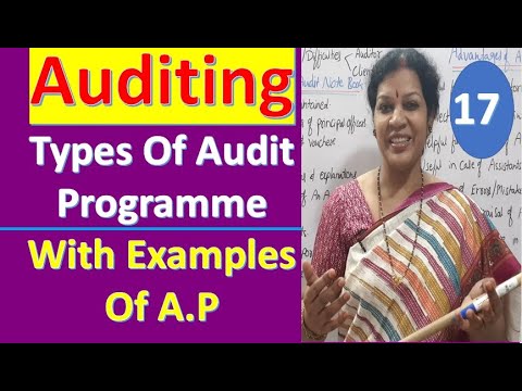1 Auditing Subject Introduction Class