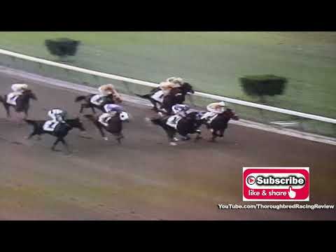 1995 Florida Derby   THUNDER GULCH vs. SUAVE PROSPECT - PHOTO FINISH ALERT!