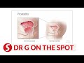 EP181 Prostatitis Dampening Sexual Performance PUTTING DR G ON THE SPOT