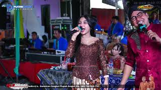 Download lagu SATU HATI SAMPAI MATI 'Ngaplak Puoll' ARSEKA MUSIC - BLS MUSIC PRO AUDIO mp3