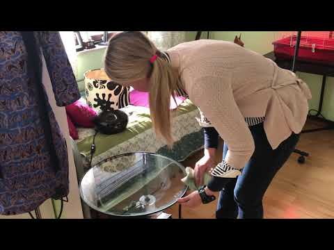 Vardagsstädning, tuff vecka