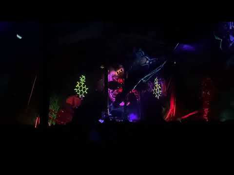 Nargun Live - Pulsar Festival 2022