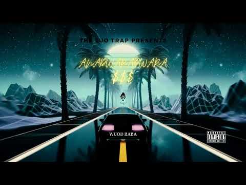 Wuod Baba - ANADWARADWARA $$$$ (Visualizer)(2022)