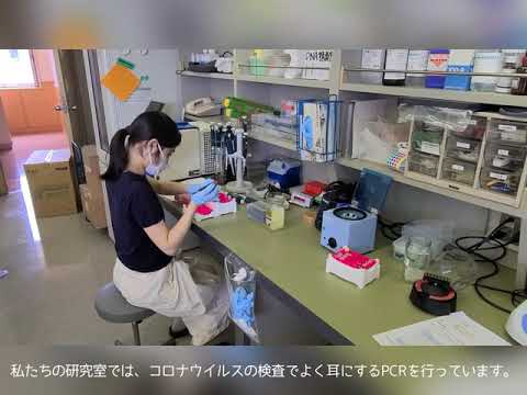 保健福祉学科 県立広島大学　食品学研究室　紹介