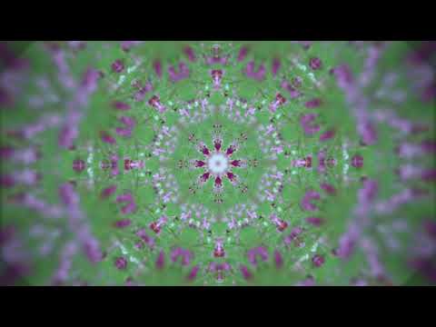 Balder XII - Shine (Prod. ELM Beats)